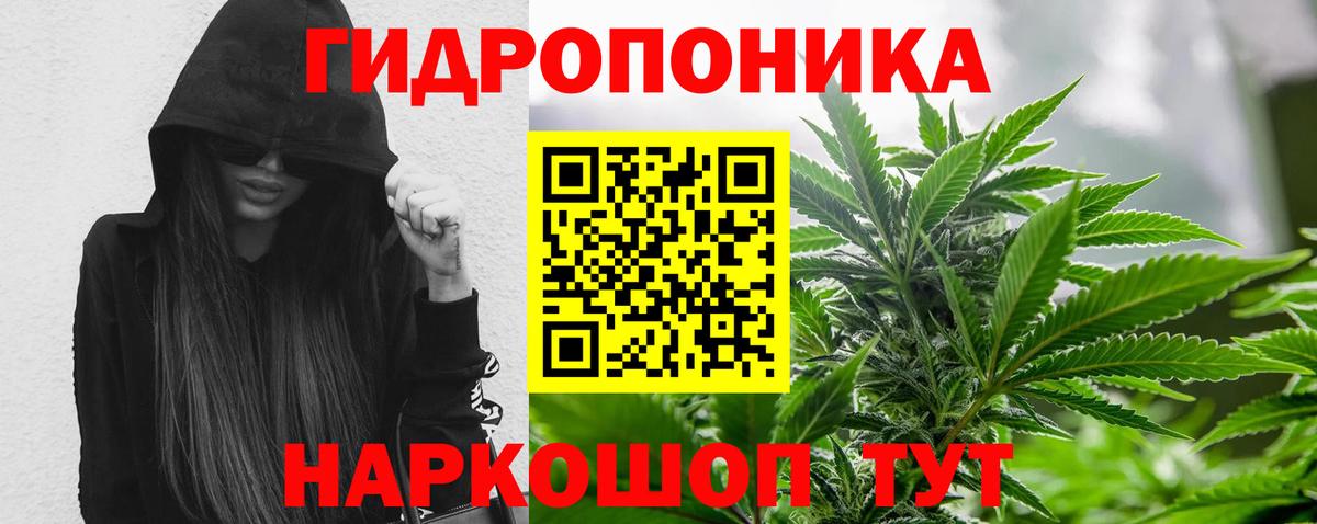 Бошки Шишки OG Kush  Вход с VPN  Бошки марихуана сатива  Шишки марихуана конопля  Барнаул  Марихуана ГИДРОПОН 
